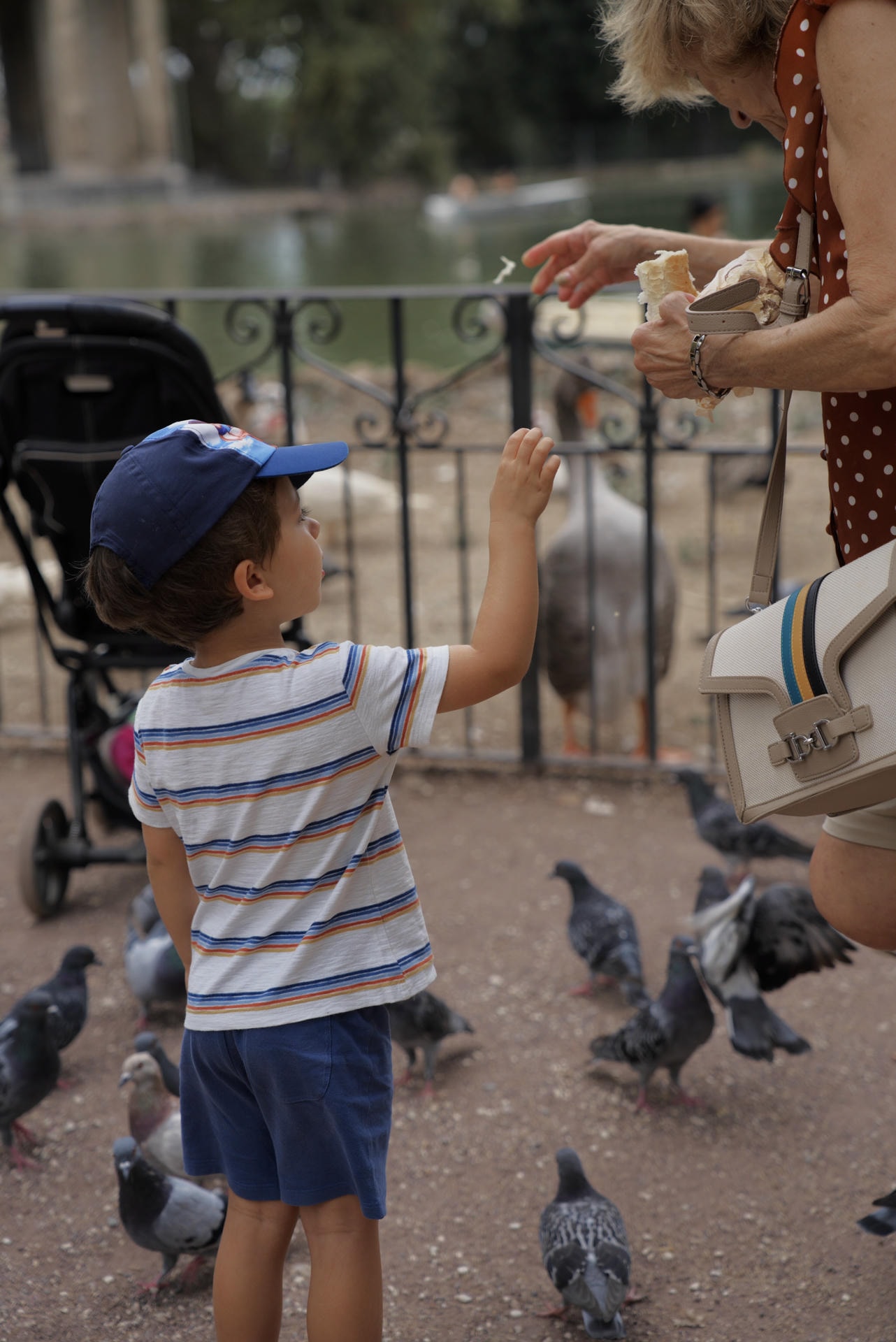 A little kid with a blue hat and a striped shirt and his grandma feeding the geese at a lake.